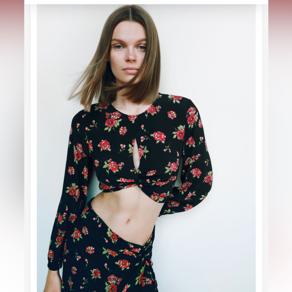 Zara Floral Print Cropped Blouse